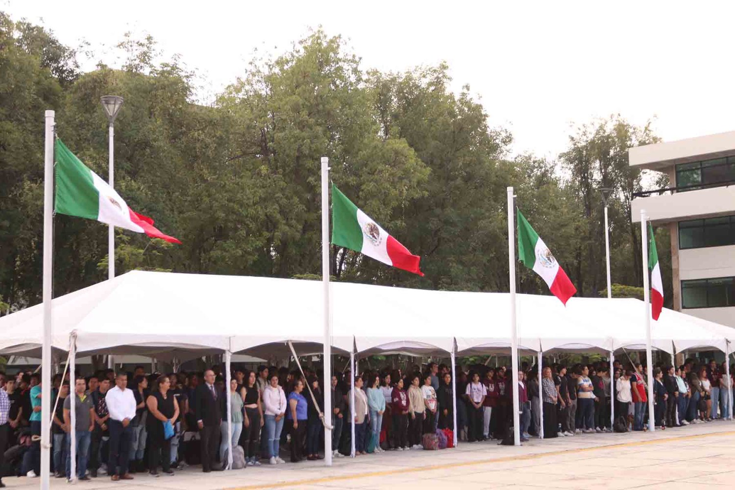 festejo independencia