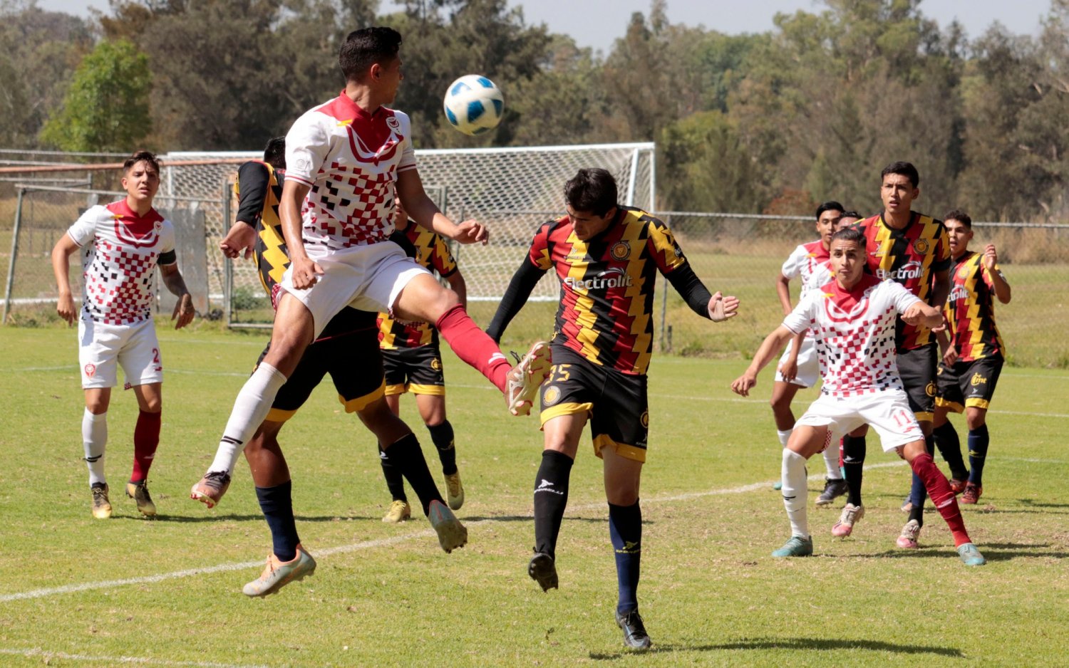 tecos lider invicto gano a leones negros