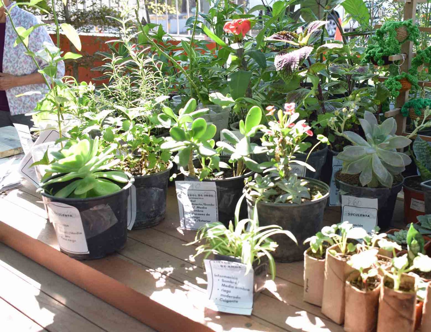 ecovivo cumplio su primer aniversario