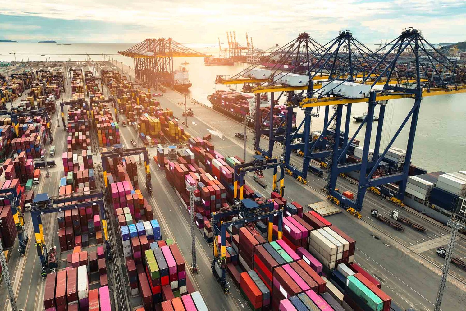 esta especialidad permite a los profesionales destacar en puestos clave de planeacion administracion y direccion