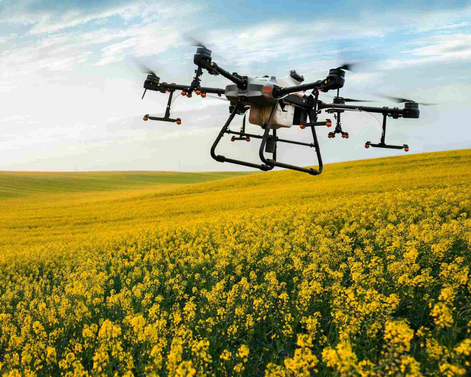 el uso de drones ha ayudado a monitorear el campo y aplicar fertilizantes y pesticidas