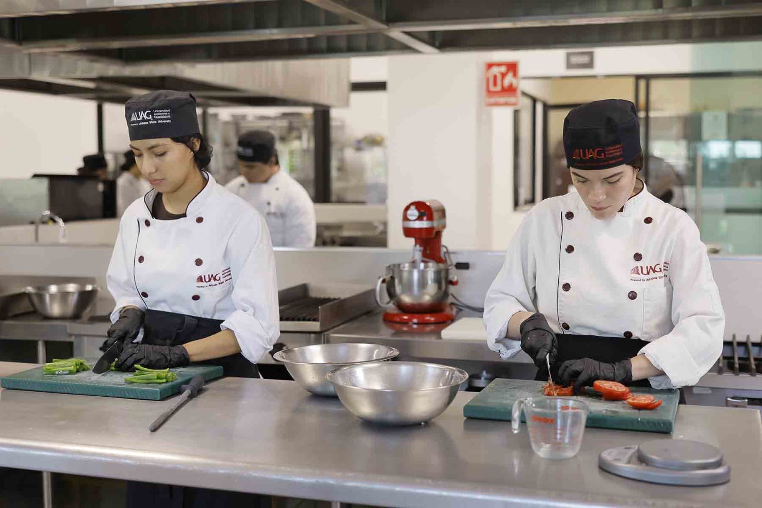 carrera de gastronomia