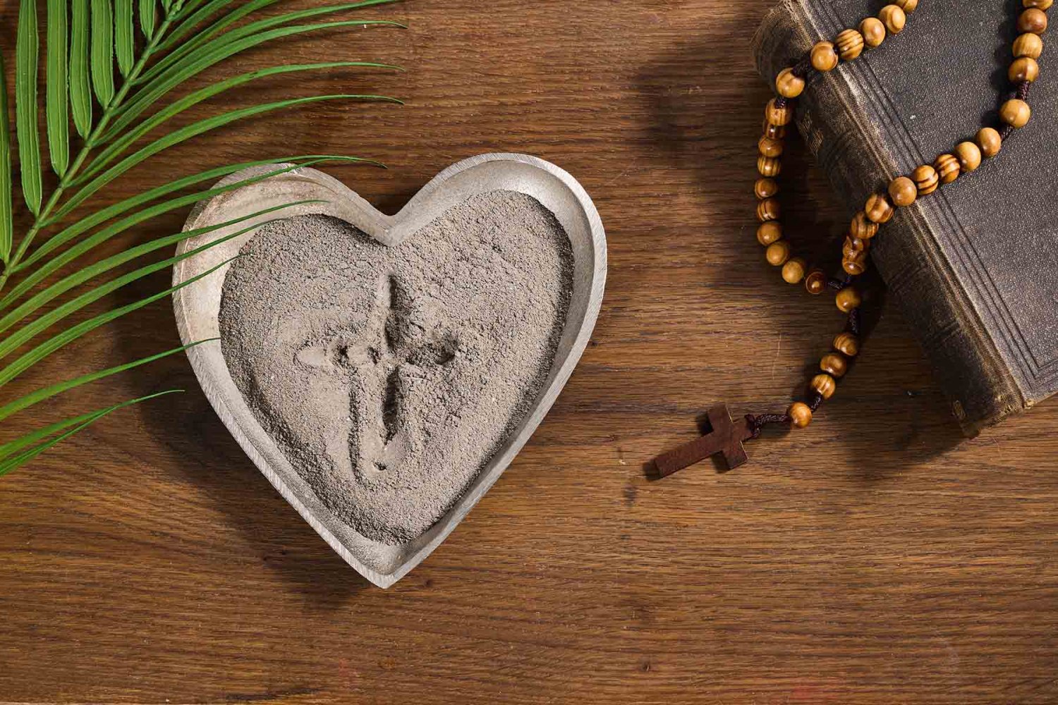 de donde se obtiene la ceniza