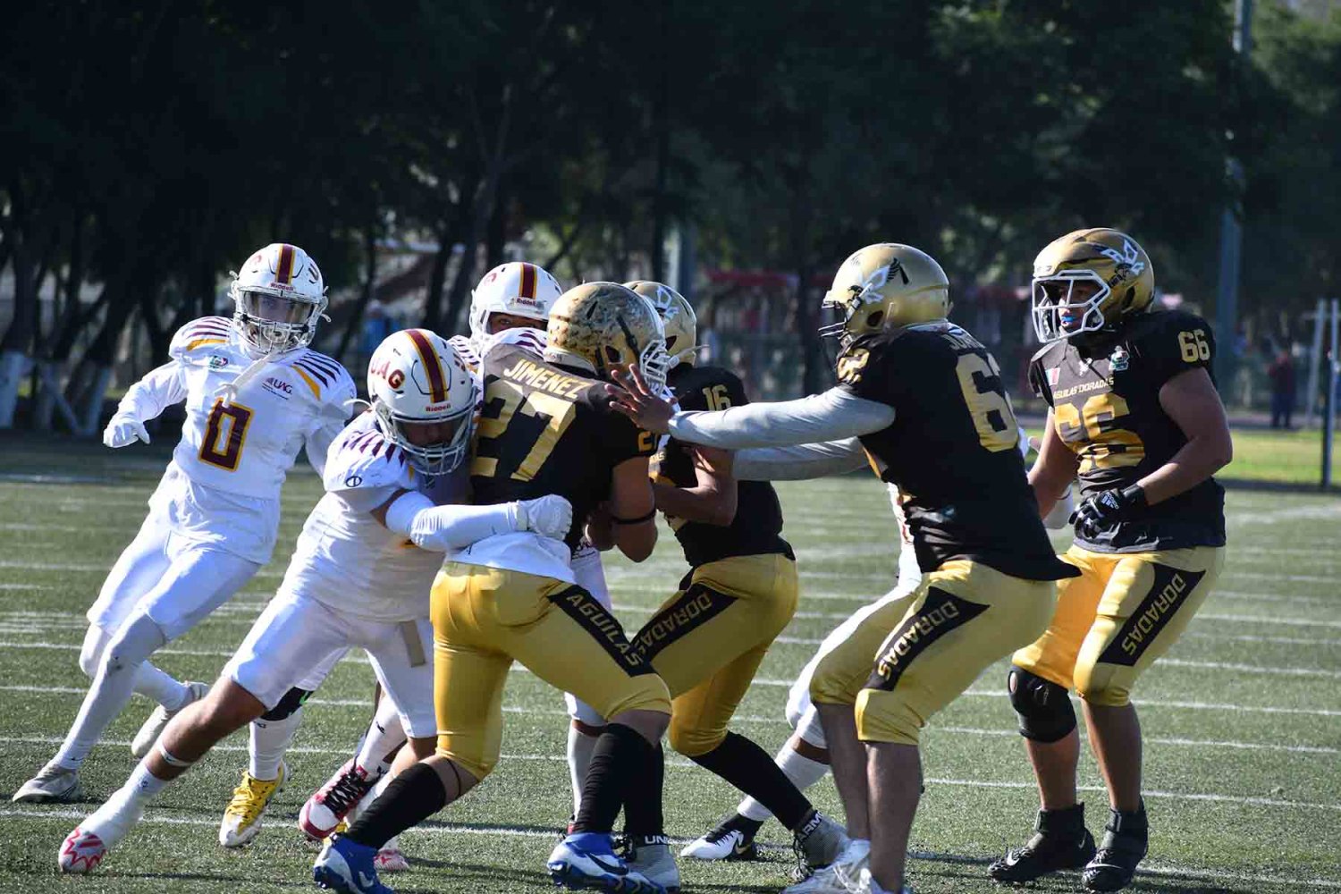 tecos juvenil de otoño