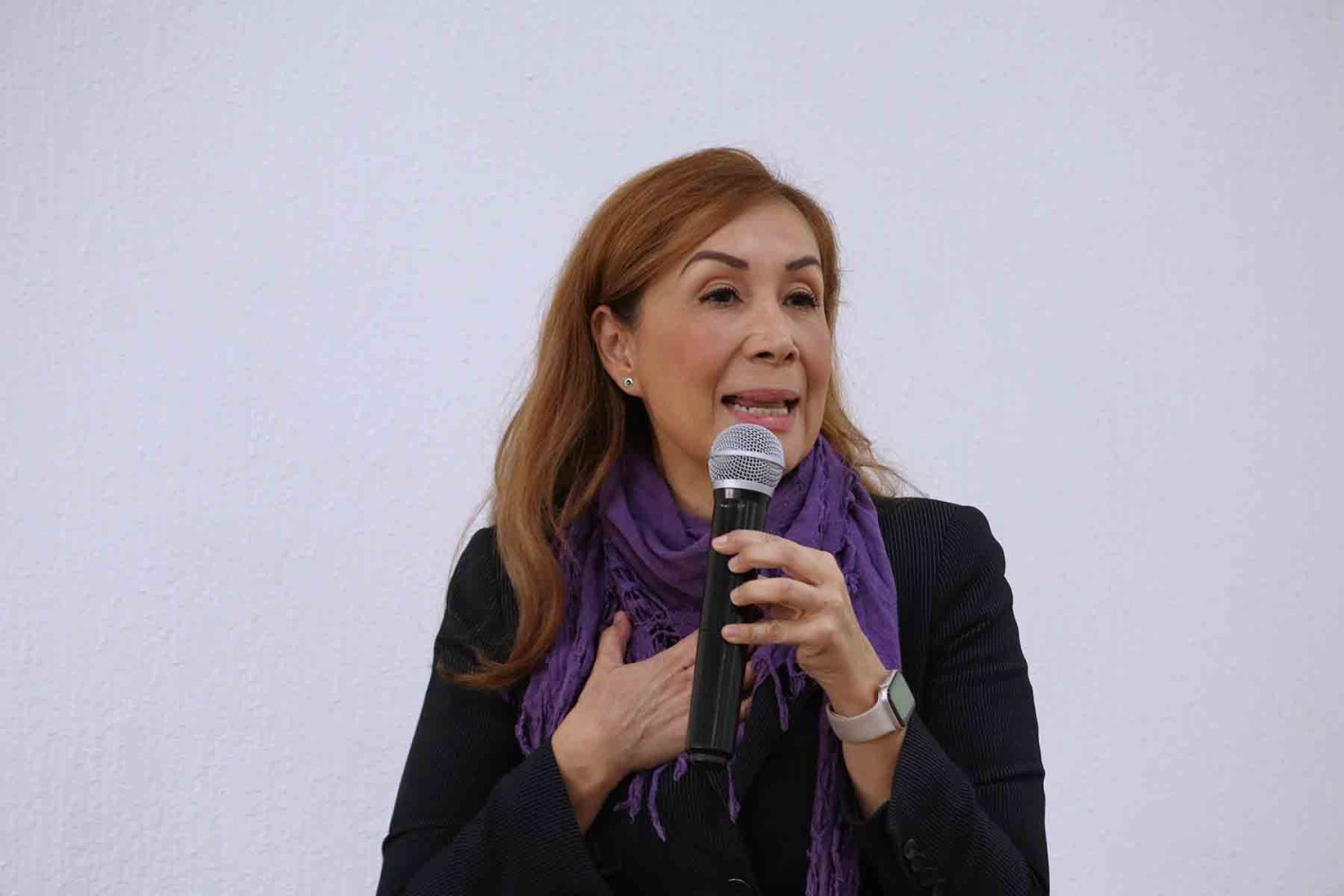 juan carlos leaño del castillo