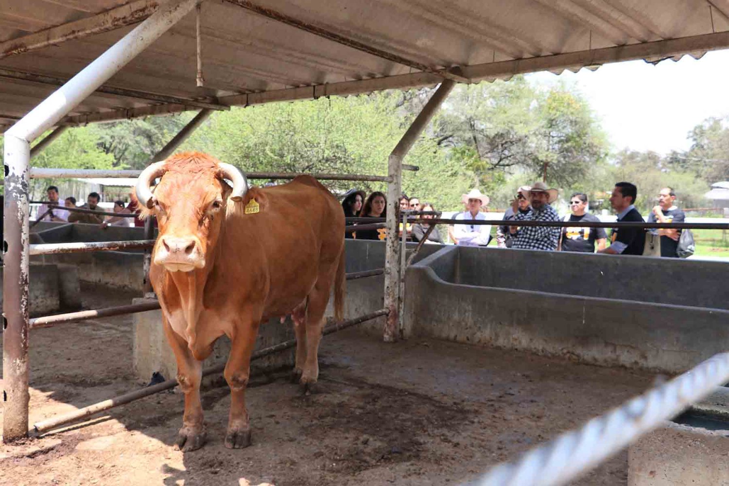 El CIAMAT es el Rancho Escuela de la UAG
