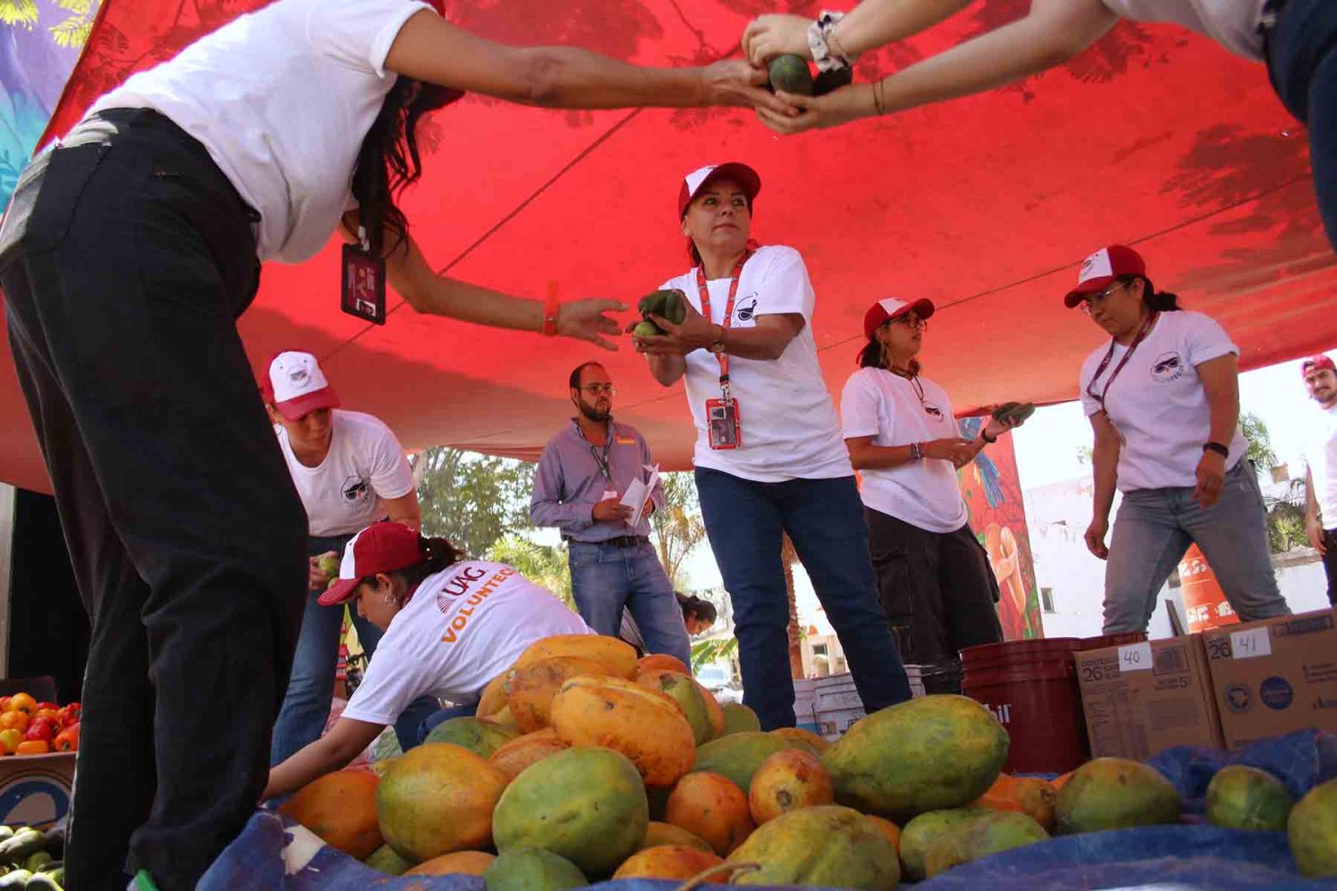 uag recibe distintivo de guardabosque urbano
