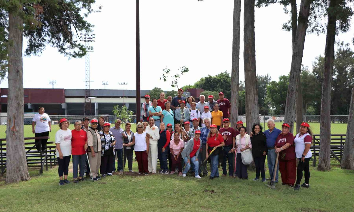 los jubilados participaron en actividades de reforestación