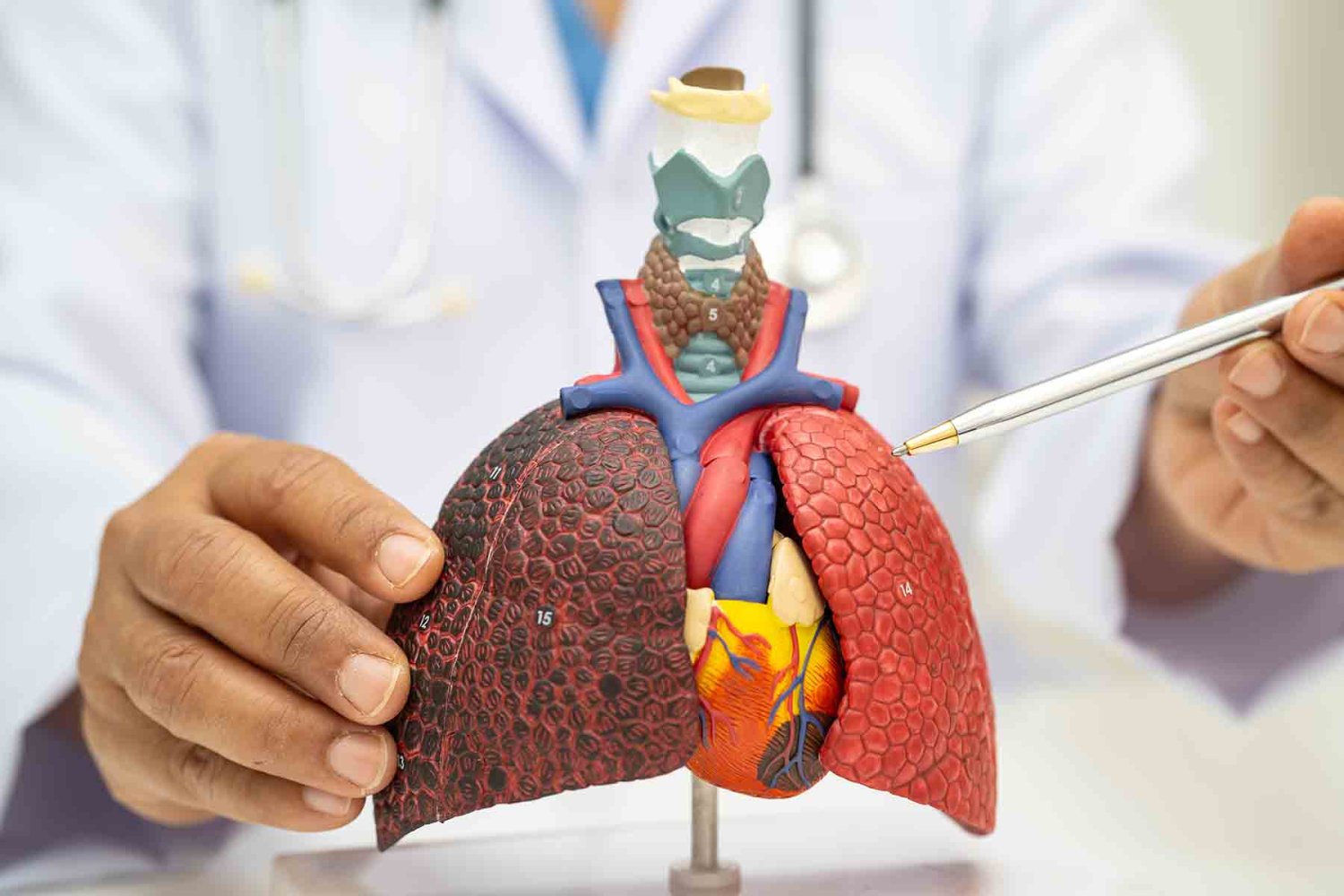 El uso de vapeadores trae consecuencias a la salud de los pulmones