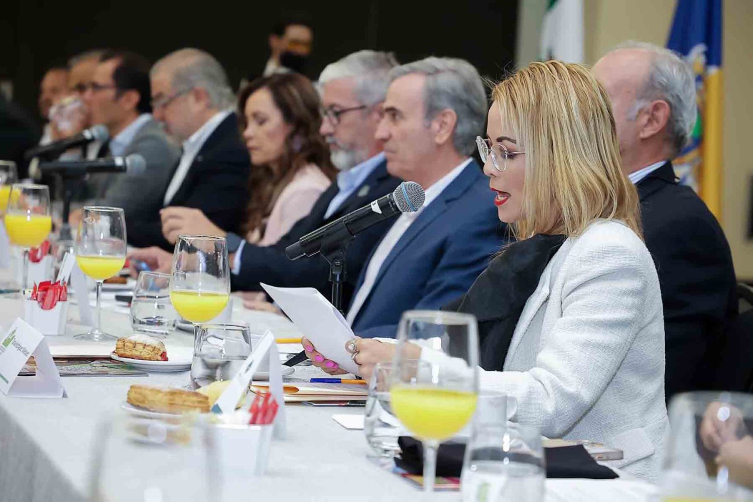 que hace el consejo agropecuario de jalisco