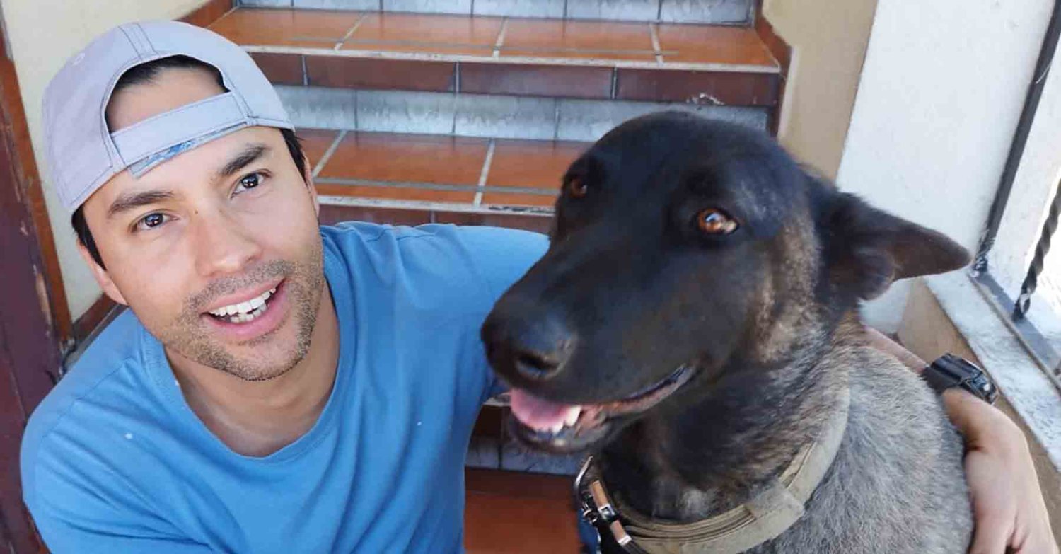 universidades en linea