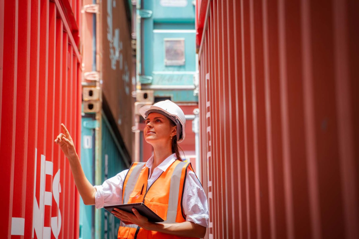 logistica y cadena de suministro