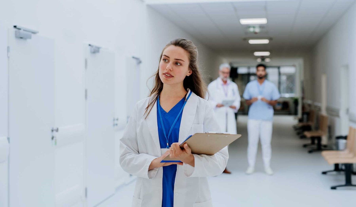 en que consiste la maestria en innovcion en sistemas de salud