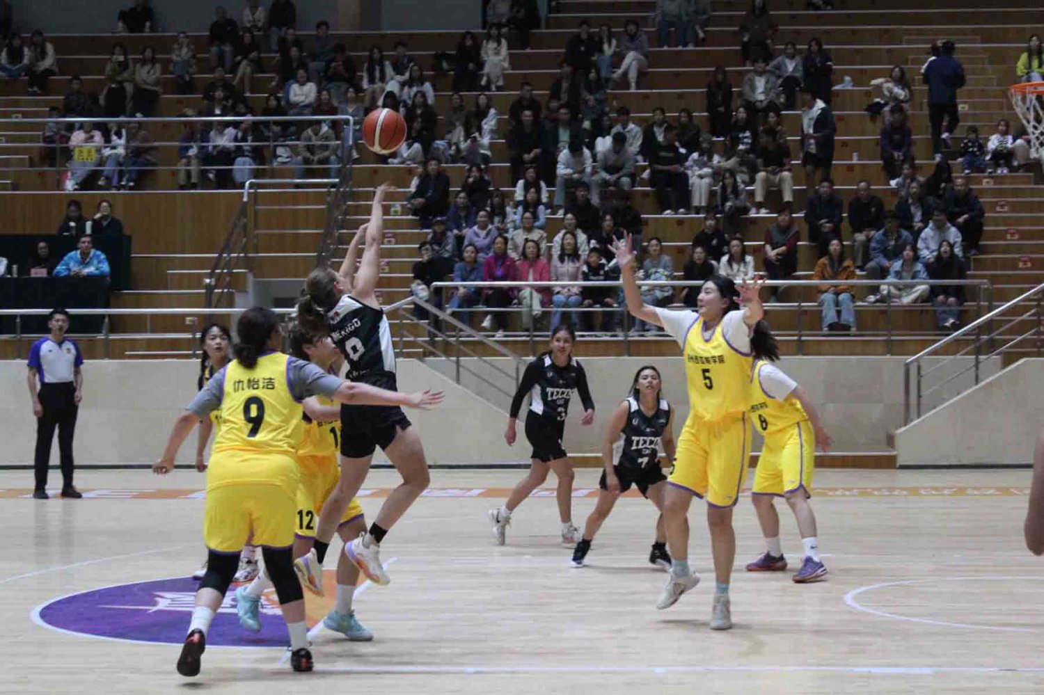 la seleccion de basquetbol tuvo una destacada participacion en el torneo