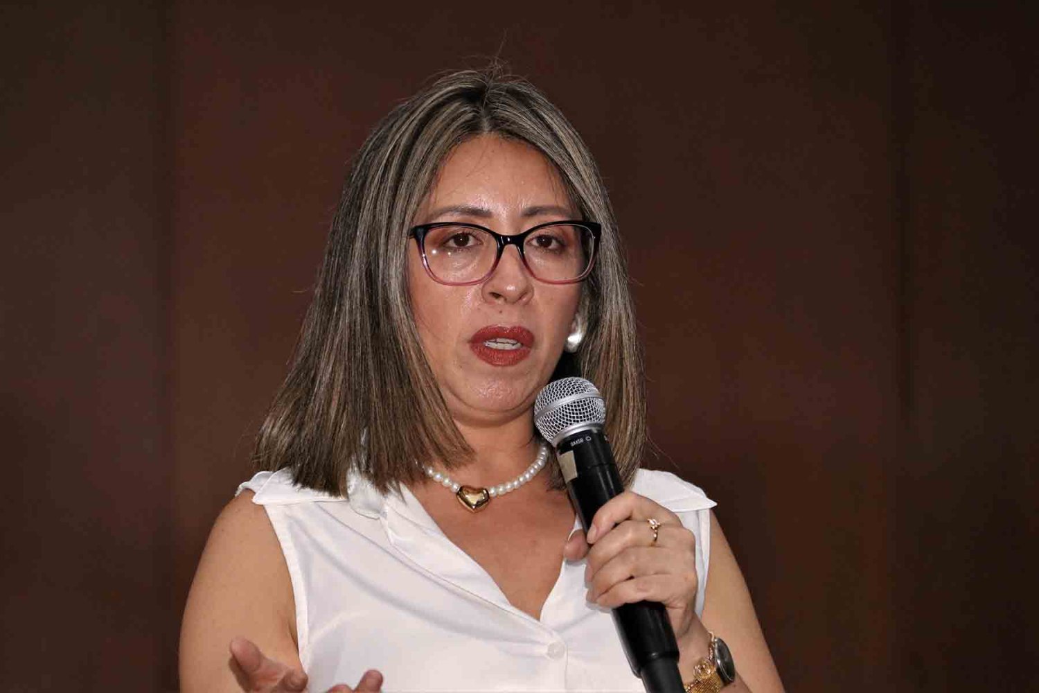 mtro angel israel munoz y dr alfredo castro vuh