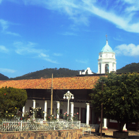 Vida y costos en GDL