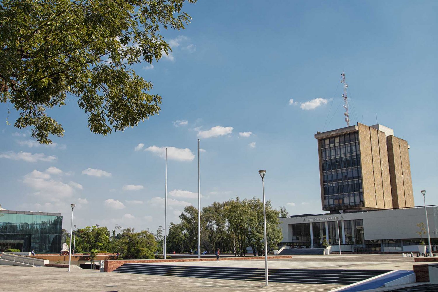 el reto del clonazepam y el peligro de consumir medicamentos sin receta