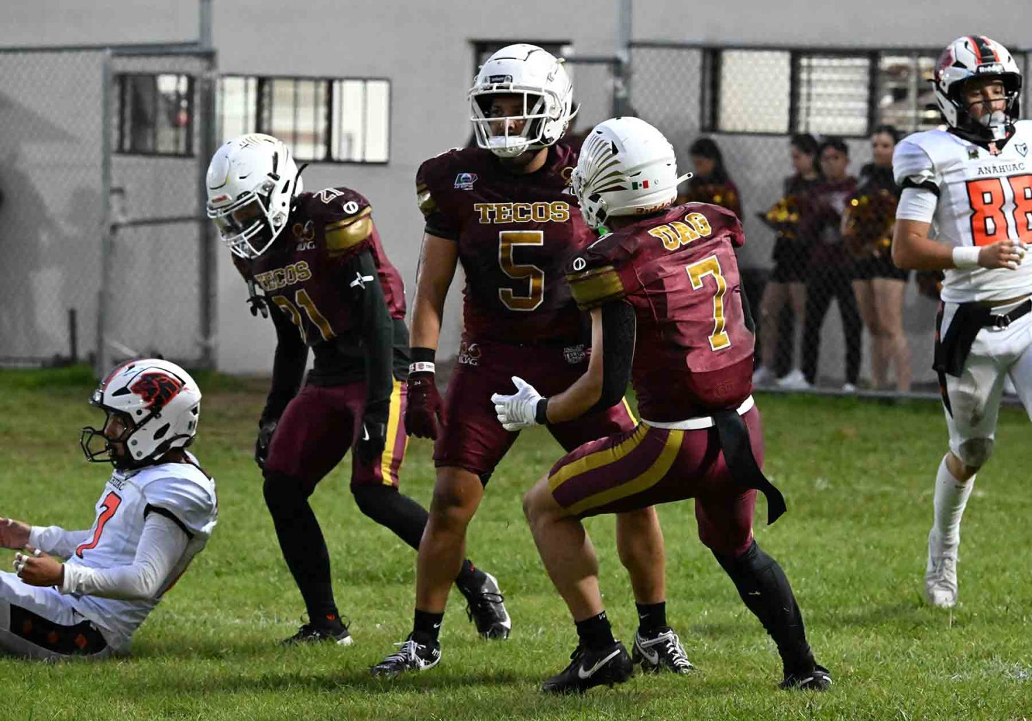 los tecos se ubican en zona de playoffs en la liga mayor