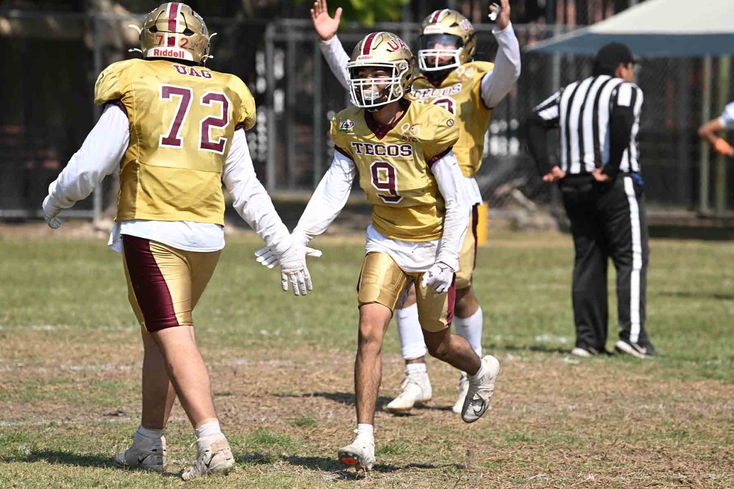 los tecos derrotaron a los fantasmas ima en la semifinal y ahora buscarán el título de la liga juvenil
