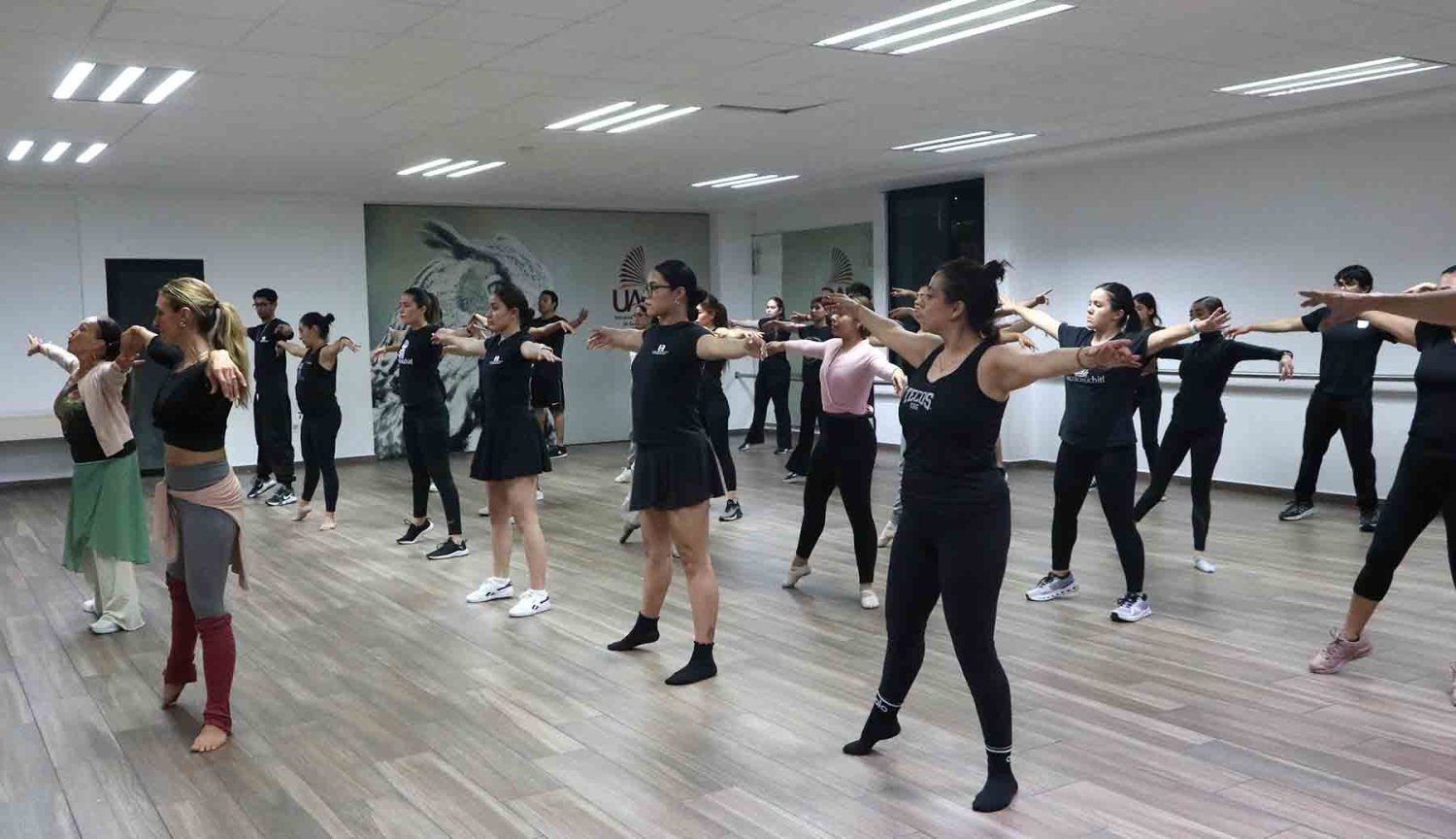 ballet folklorico de amalia hernandez