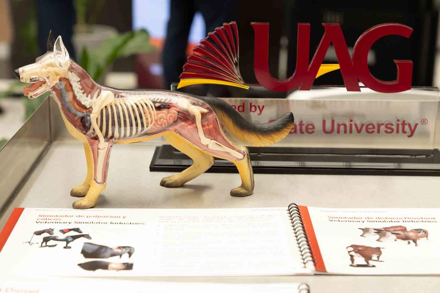 esta carrera formara lideres en veterinaria y zootecnia