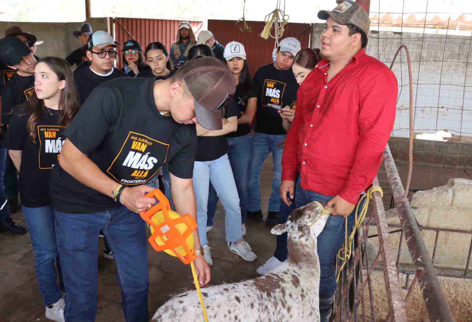 el programa de ing empresarial agropecuario de la uag tiene una duracion de 4 anos