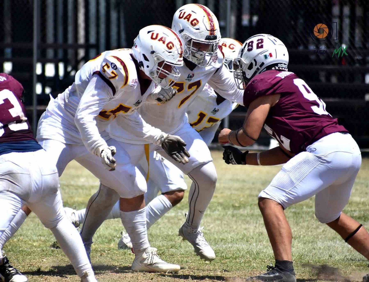 tecos gana a burros blancos en liga intermedia