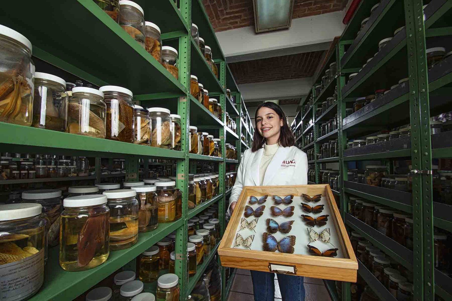 invitan al programa delfin