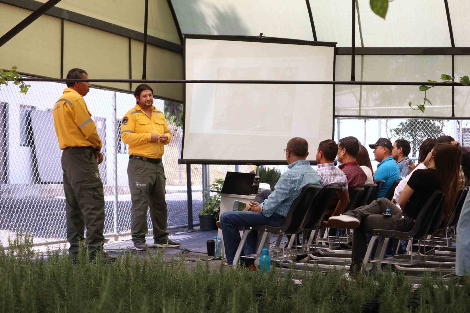 cuida el ambiente desde tu hogar