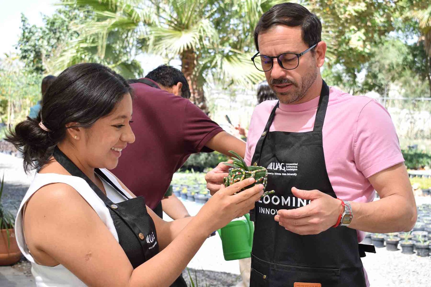 que es el programa mindset