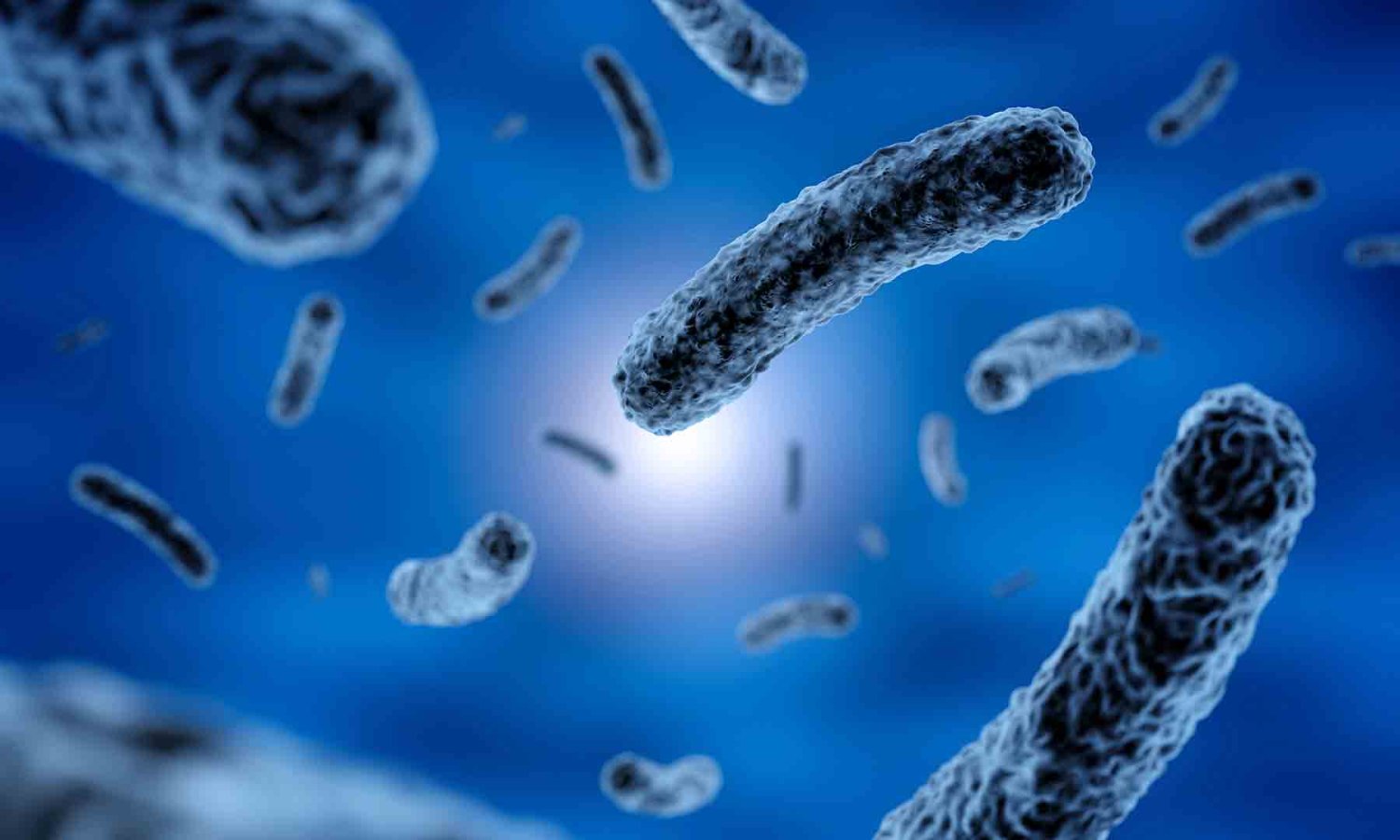 superbacterias el nuevo enemigo de la humanidad